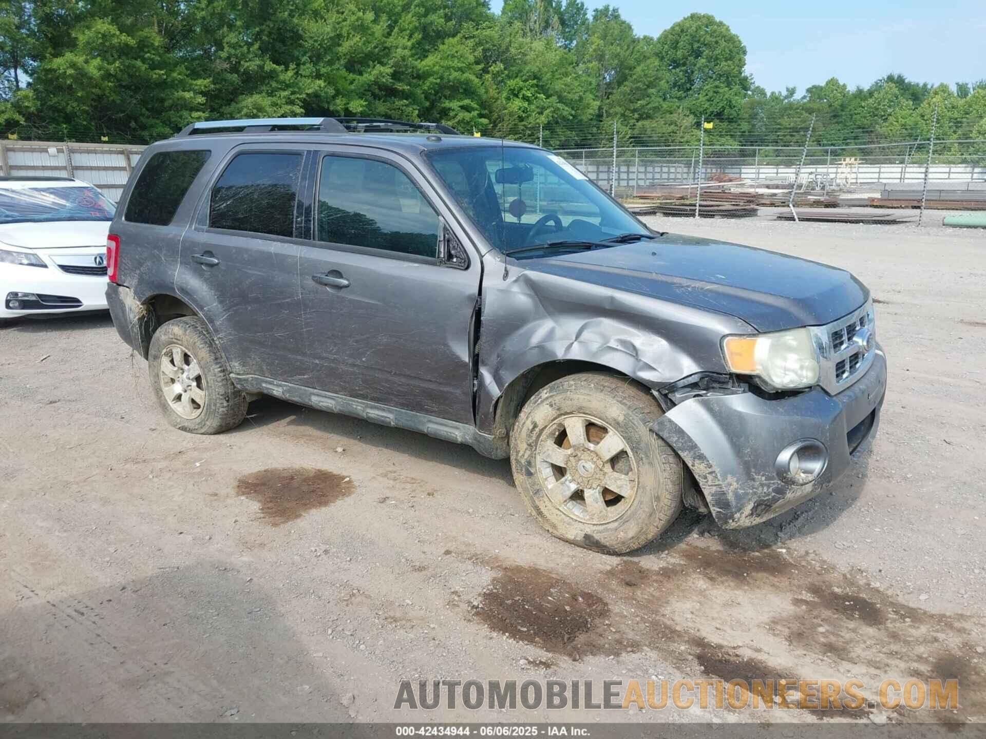 1FMCU9EG1BKB48494 FORD ESCAPE 2011