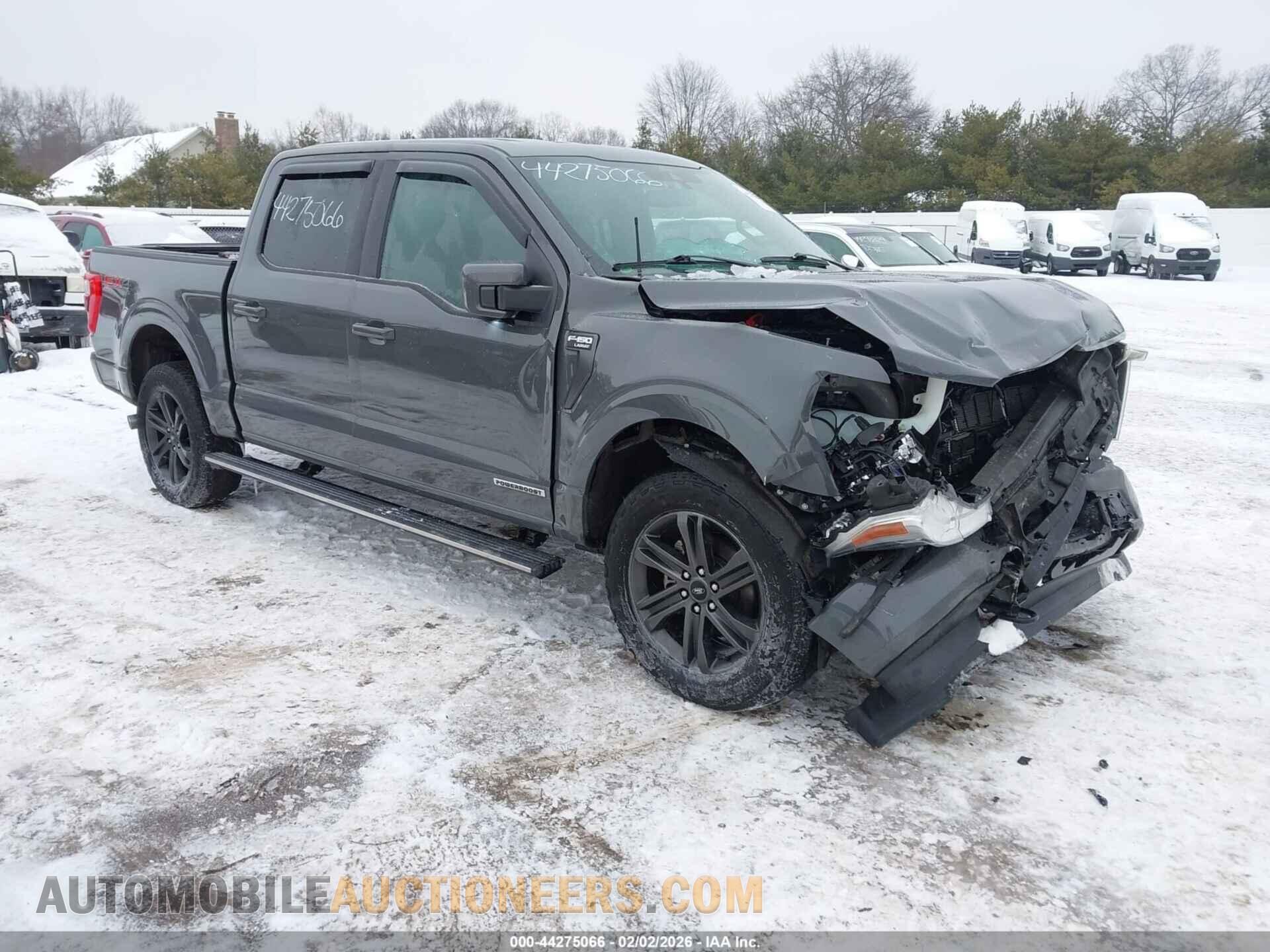 1FTFW1ED5MFC77708 FORD F-150 2021