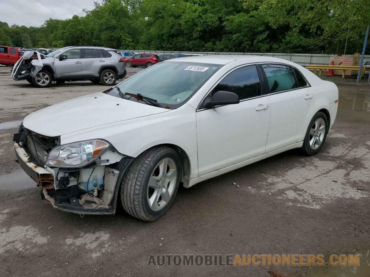 1G1ZB5E02CF219561 CHEVROLET MALIBU 2012