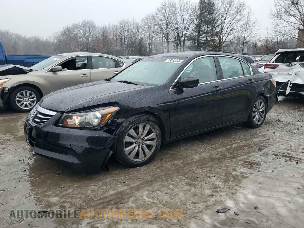 1HGCP2F80BA059159 HONDA ACCORD 2011