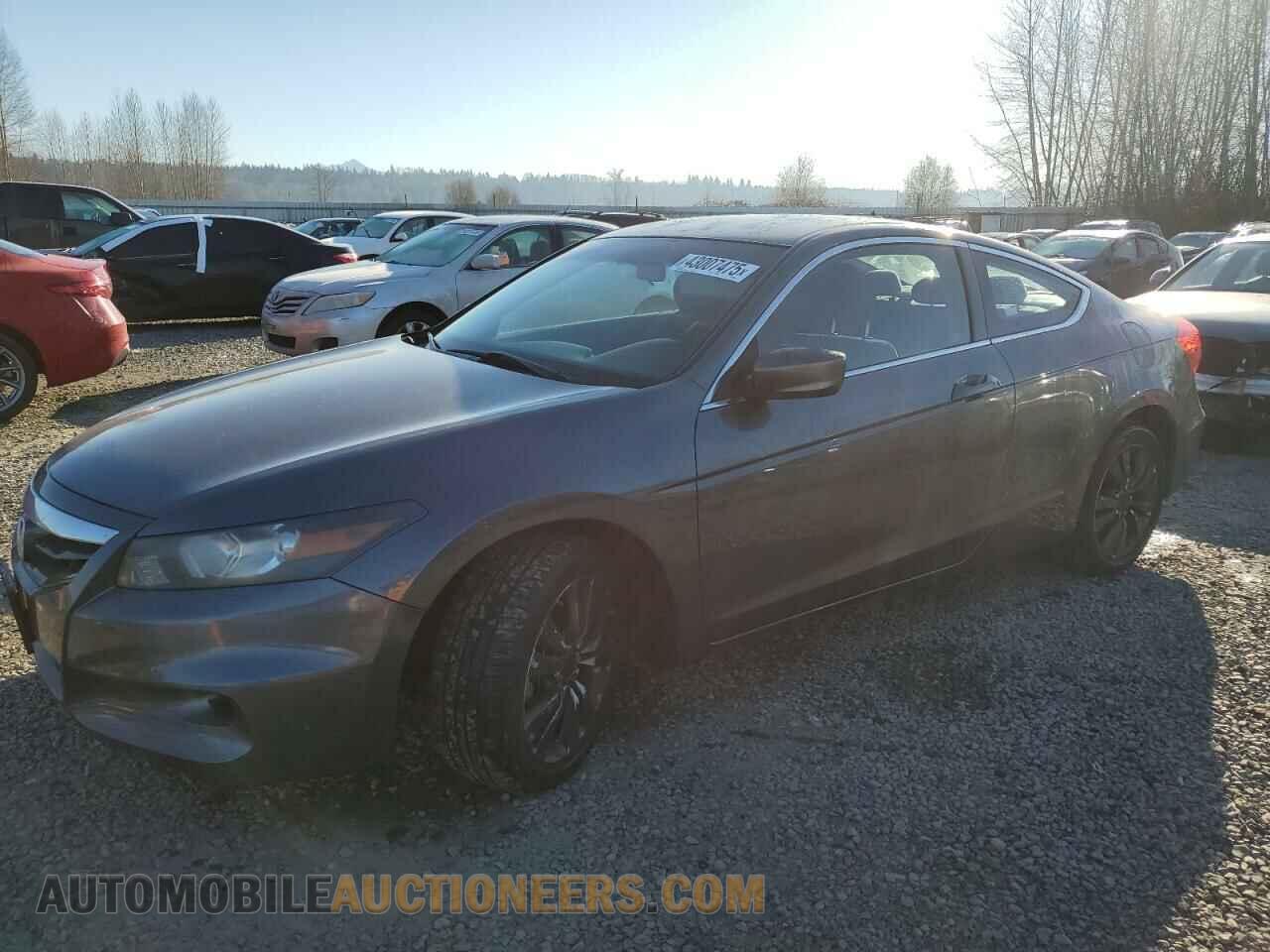 1HGCS1B33BA008564 HONDA ACCORD 2011