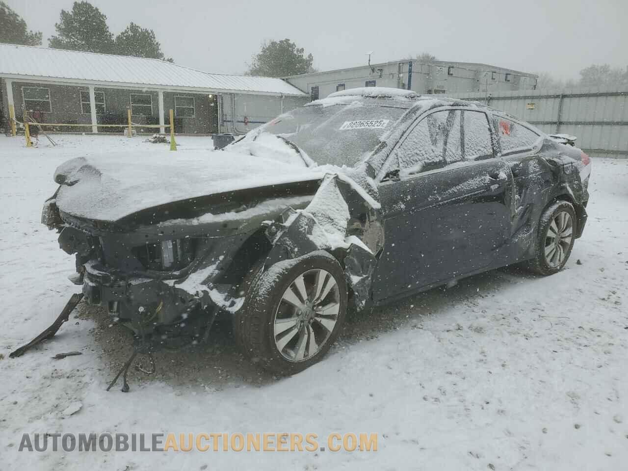 1HGCS1B8XBA003809 HONDA ACCORD 2011
