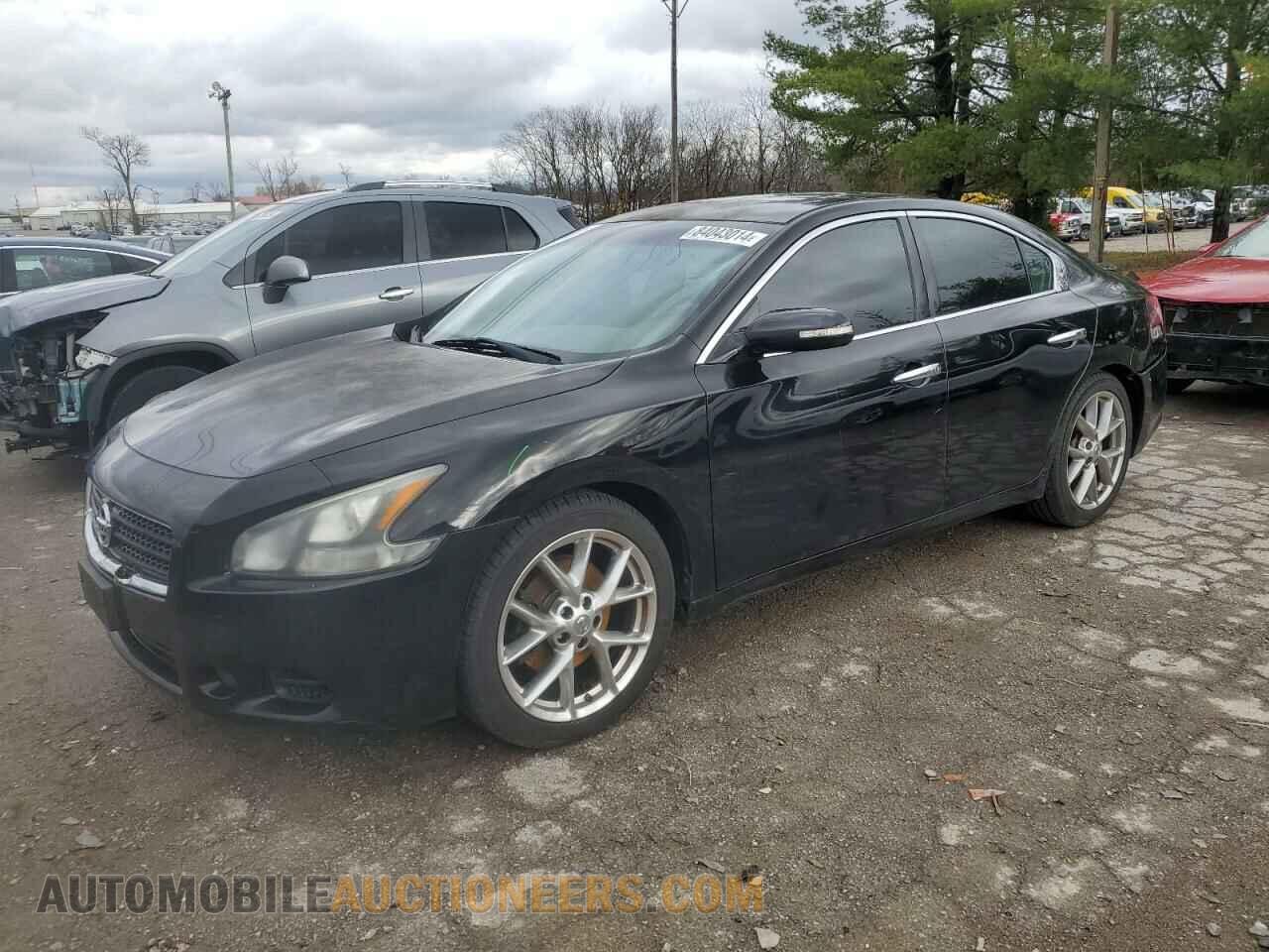 1N4AA5AP2BC808237 NISSAN MAXIMA 2011