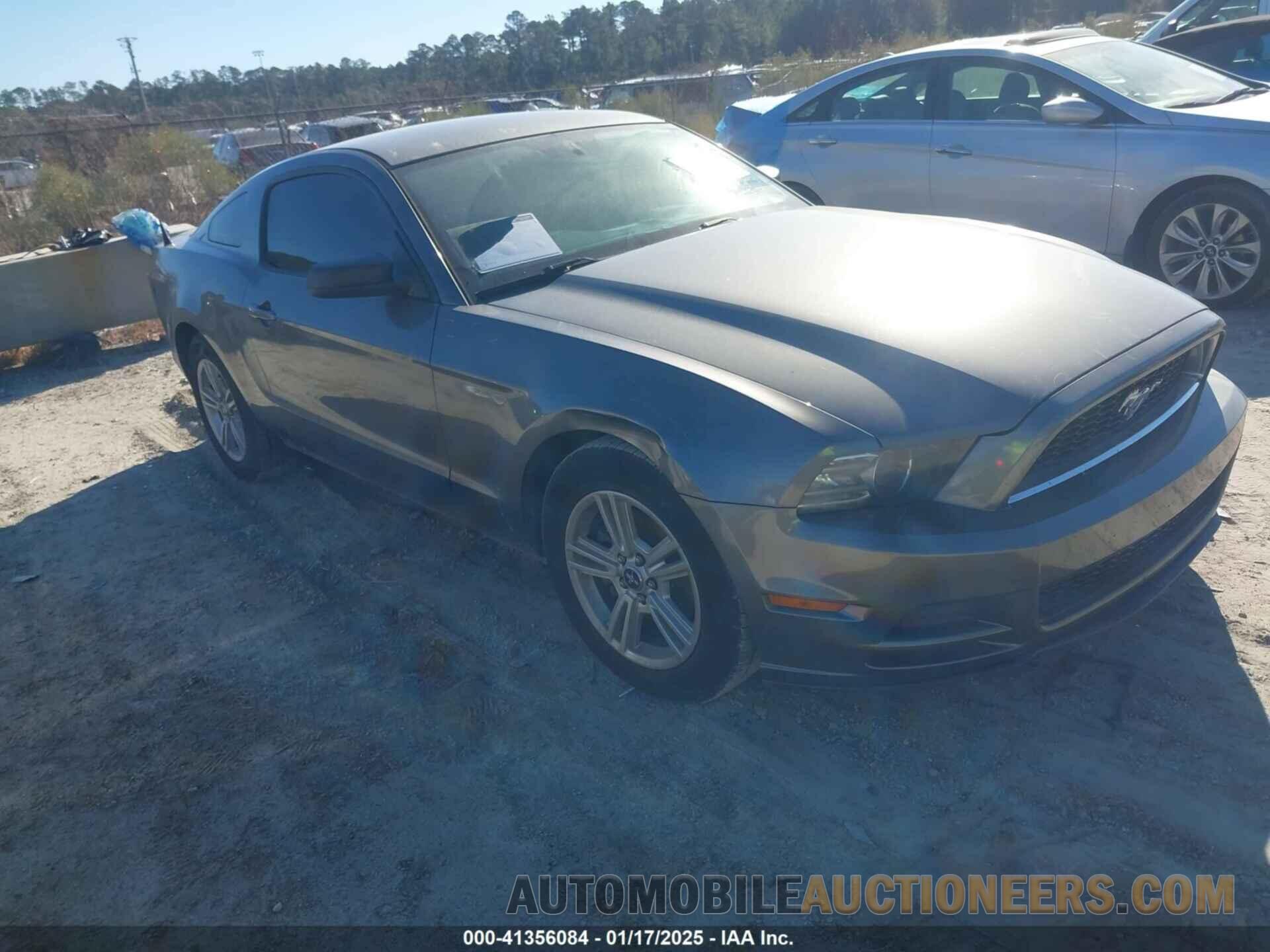 1ZVBP8AM6E5302310 FORD MUSTANG 2014