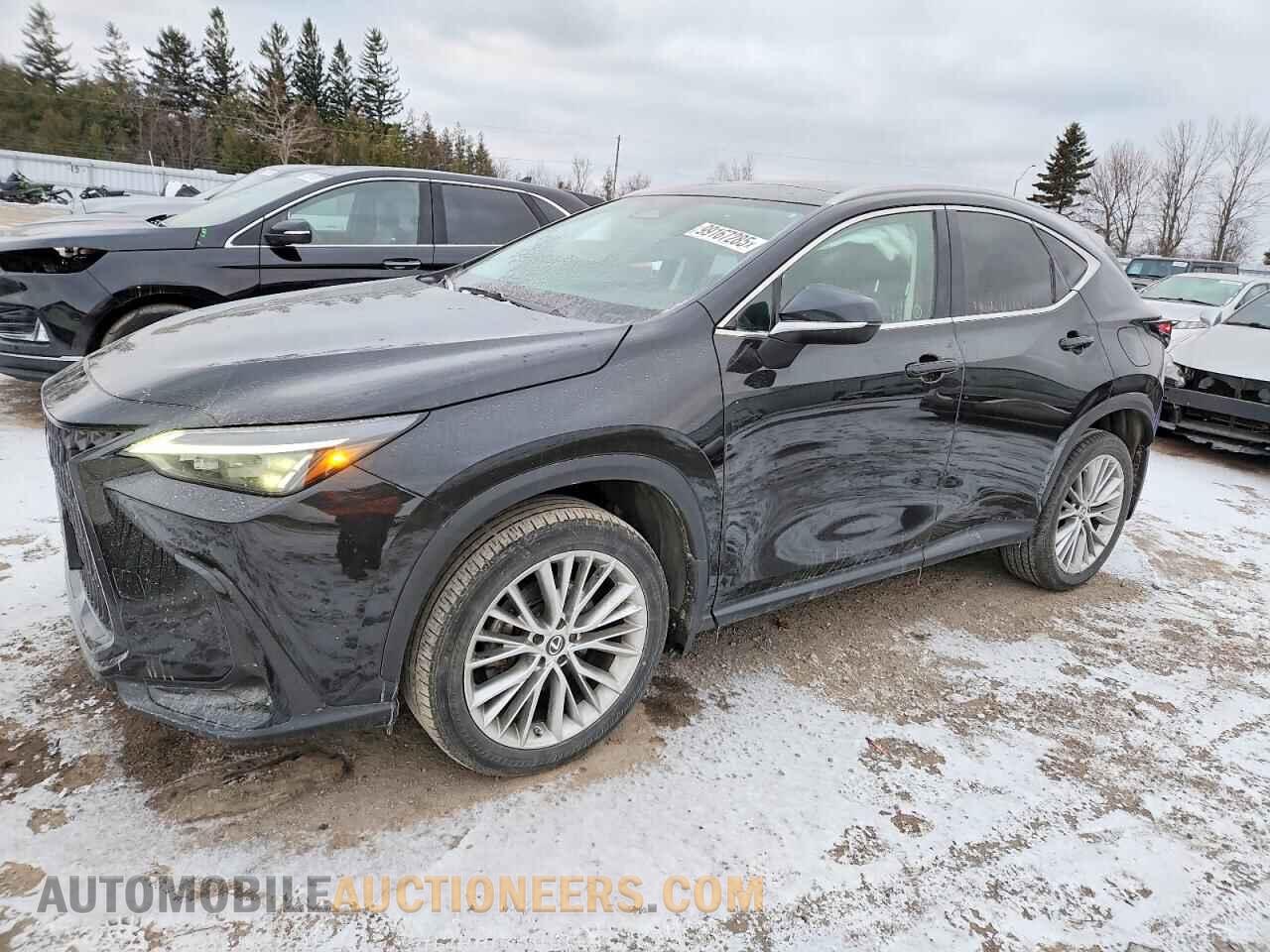 2T2GGCEZ2PC018546 LEXUS NX 350 2023