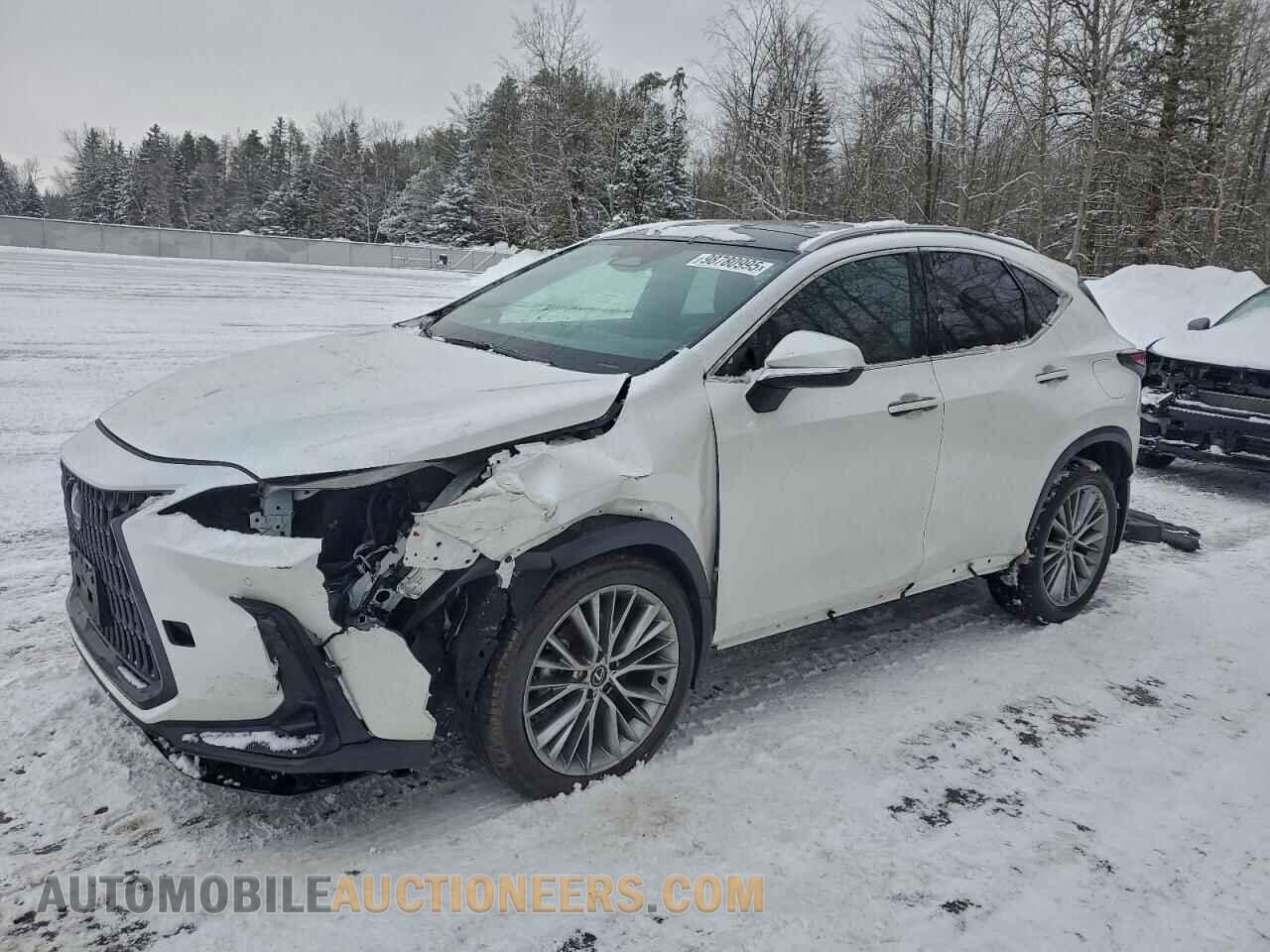 2T2GGCEZ2SC072454 LEXUS NX 350 PRE 2025