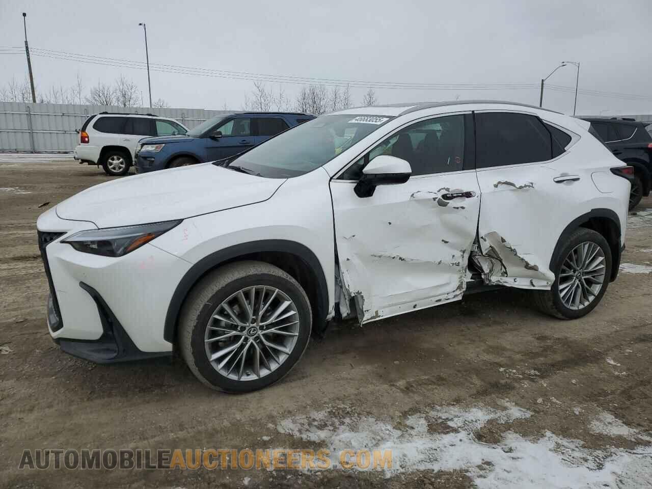 2T2GGCEZ8PC026876 LEXUS NX 350 2023
