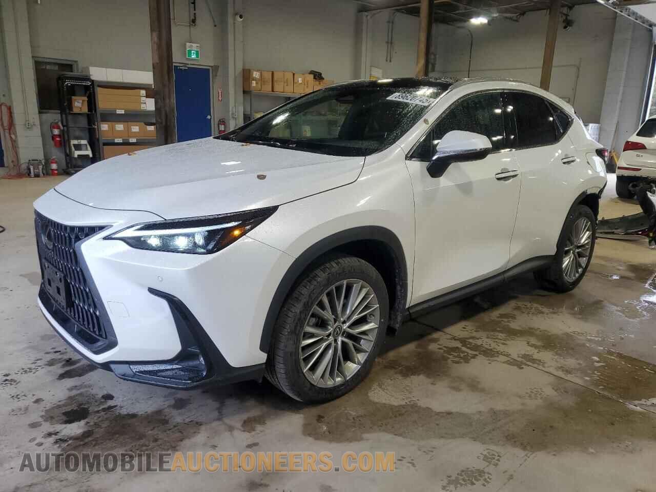 2T2GKCEZ4PC012004 LEXUS NX 350H 2023