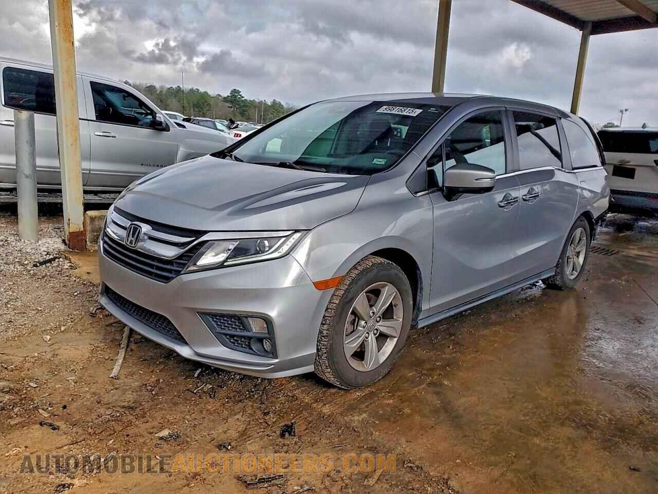 5FNRL6H50KB081491 HONDA All Models 2019
