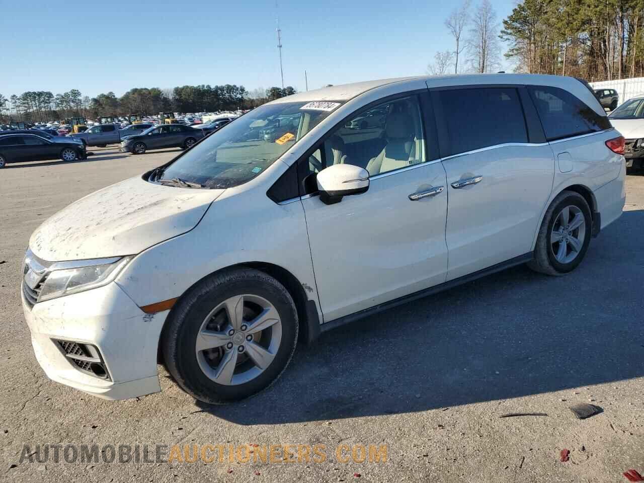5FNRL6H59KB019491 HONDA All Models 2019