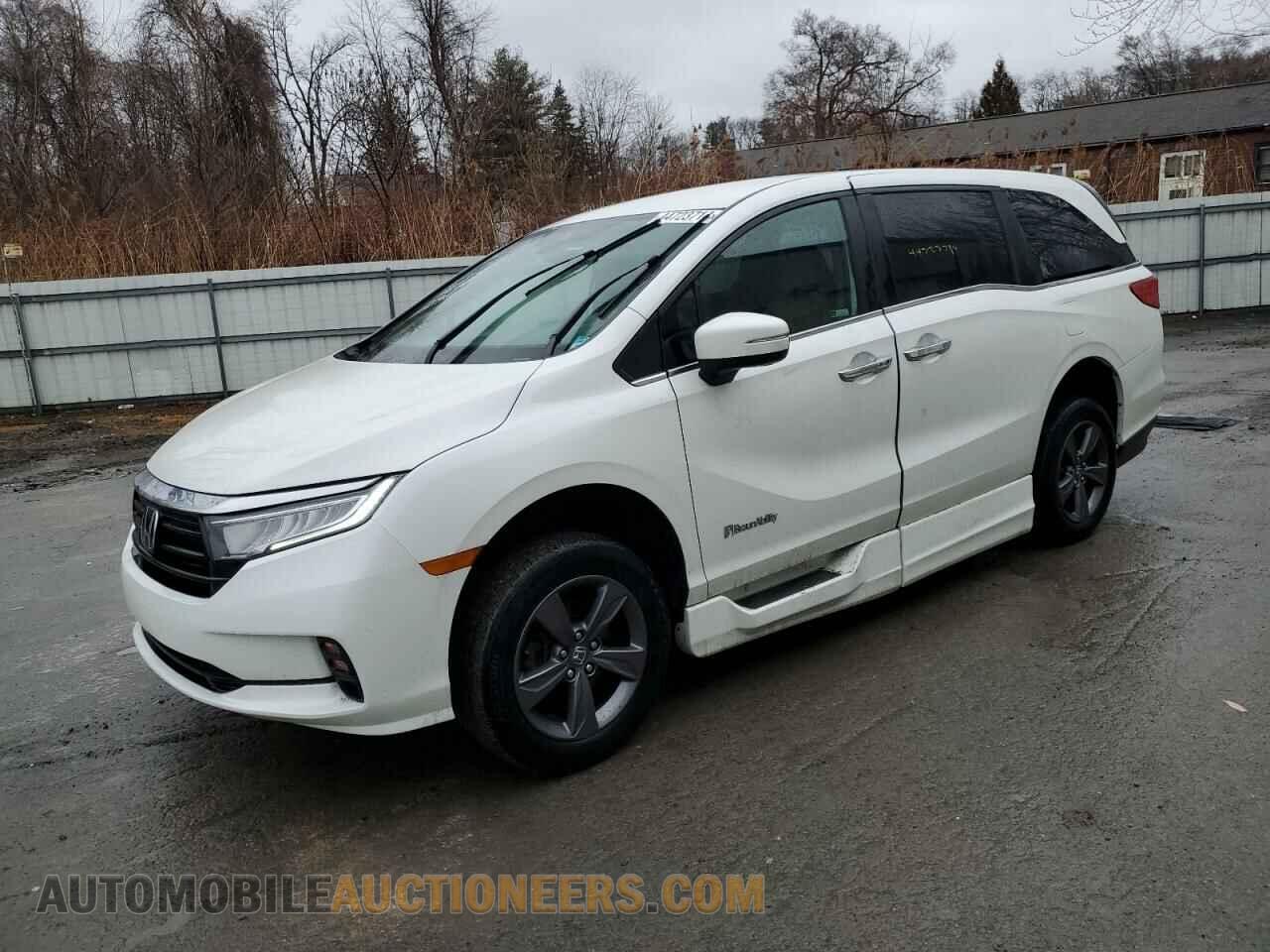 5FNRL6H59MB044121 HONDA All Models 2021