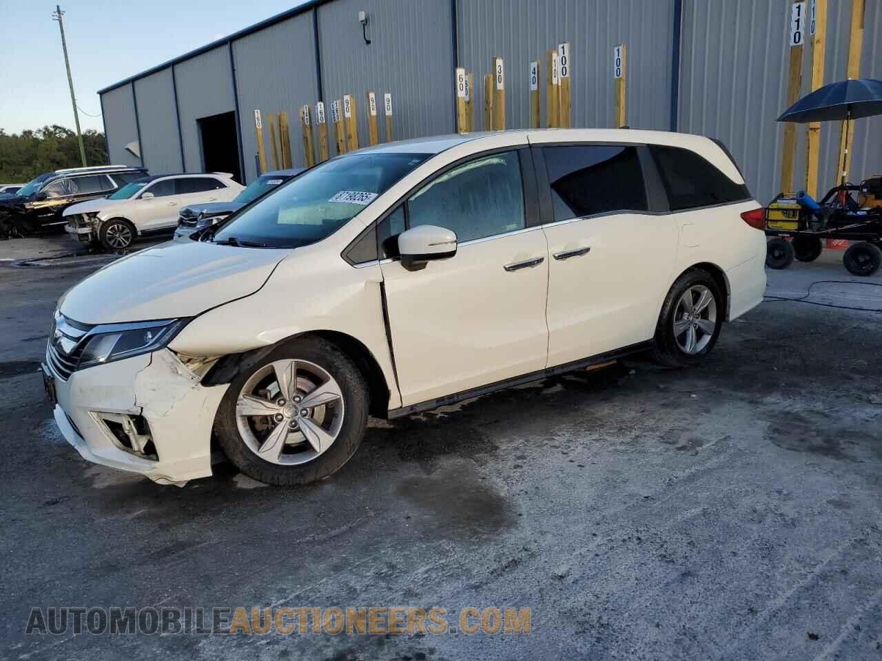 5FNRL6H5XKB120331 HONDA All Models 2019