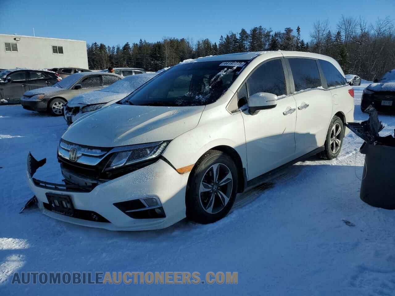 5FNRL6H61KB506256 HONDA All Models 2019