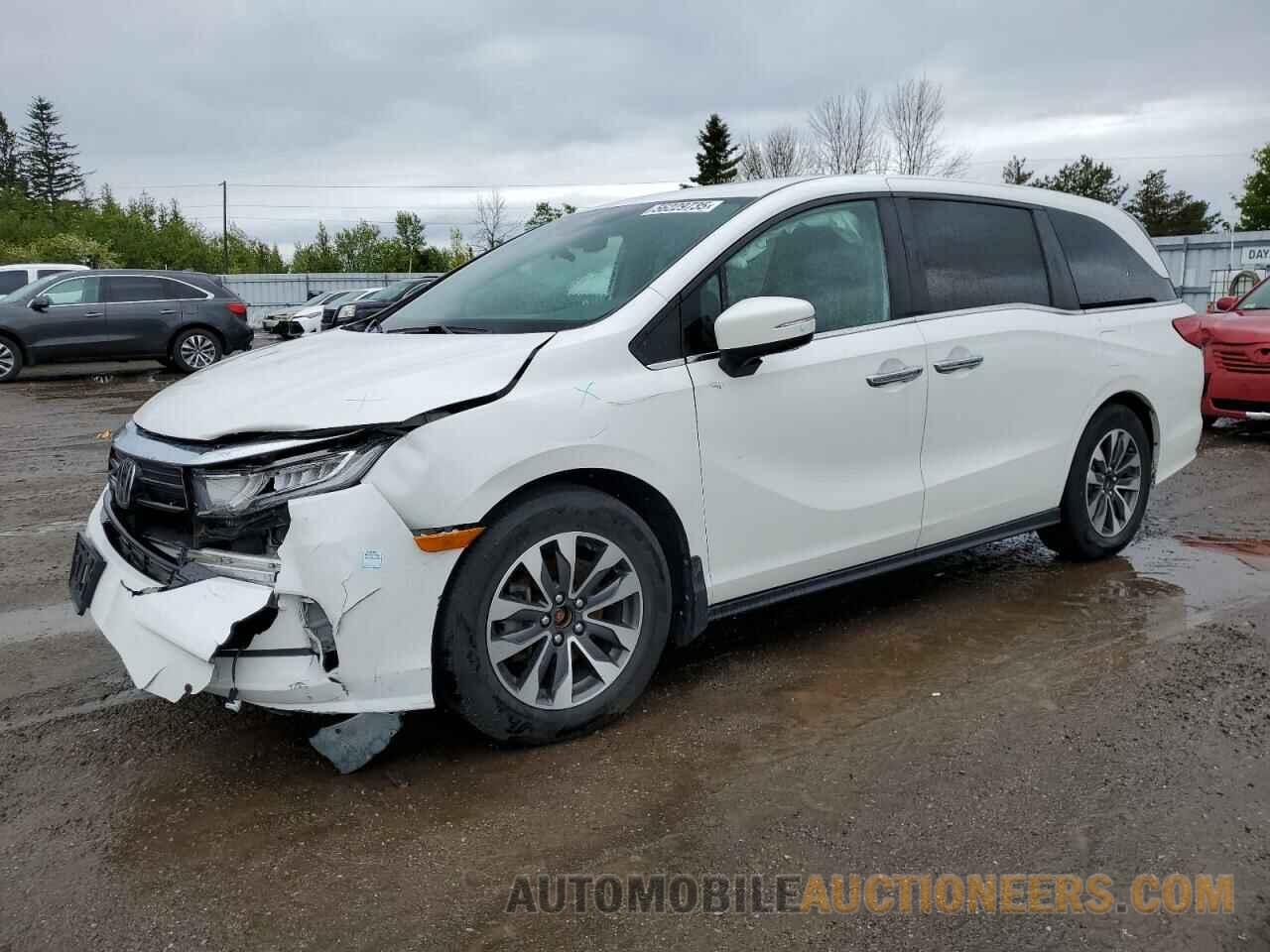 5FNRL6H62NB502754 HONDA All Models 2022
