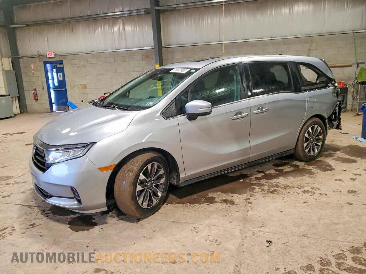 5FNRL6H68RB047382 HONDA All Models 2024