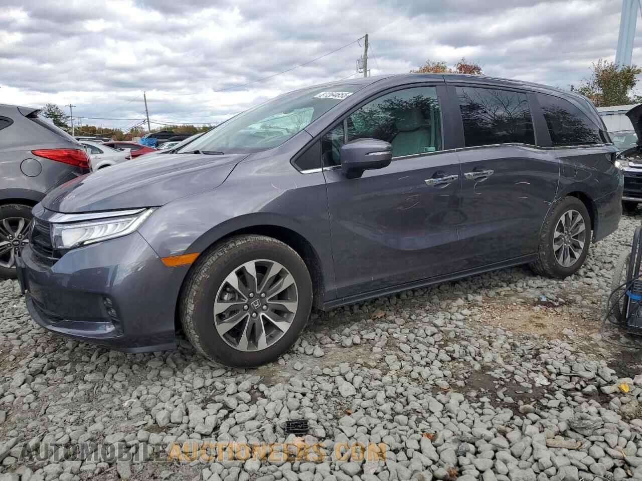 5FNRL6H69RB044247 HONDA All Models 2024