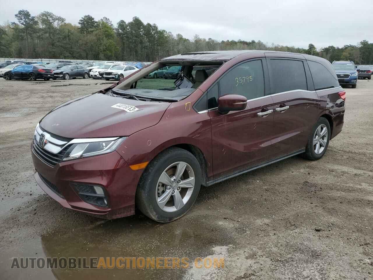 5FNRL6H70KB050601 HONDA All Models 2019