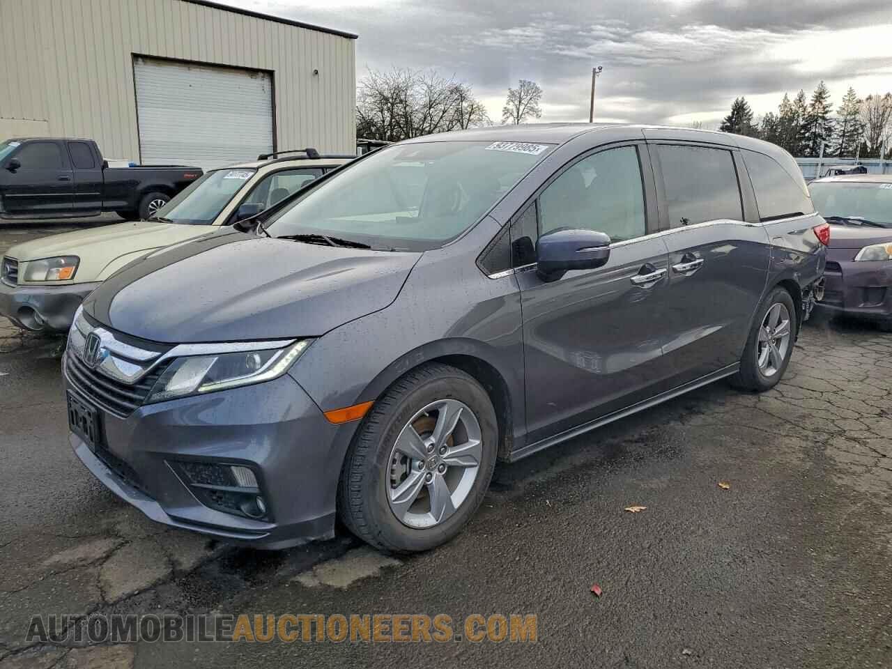 5FNRL6H71KB035136 HONDA All Models 2019