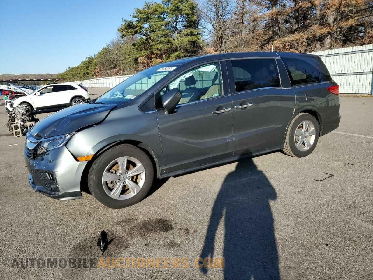 5FNRL6H71KB076205 HONDA All Models 2019