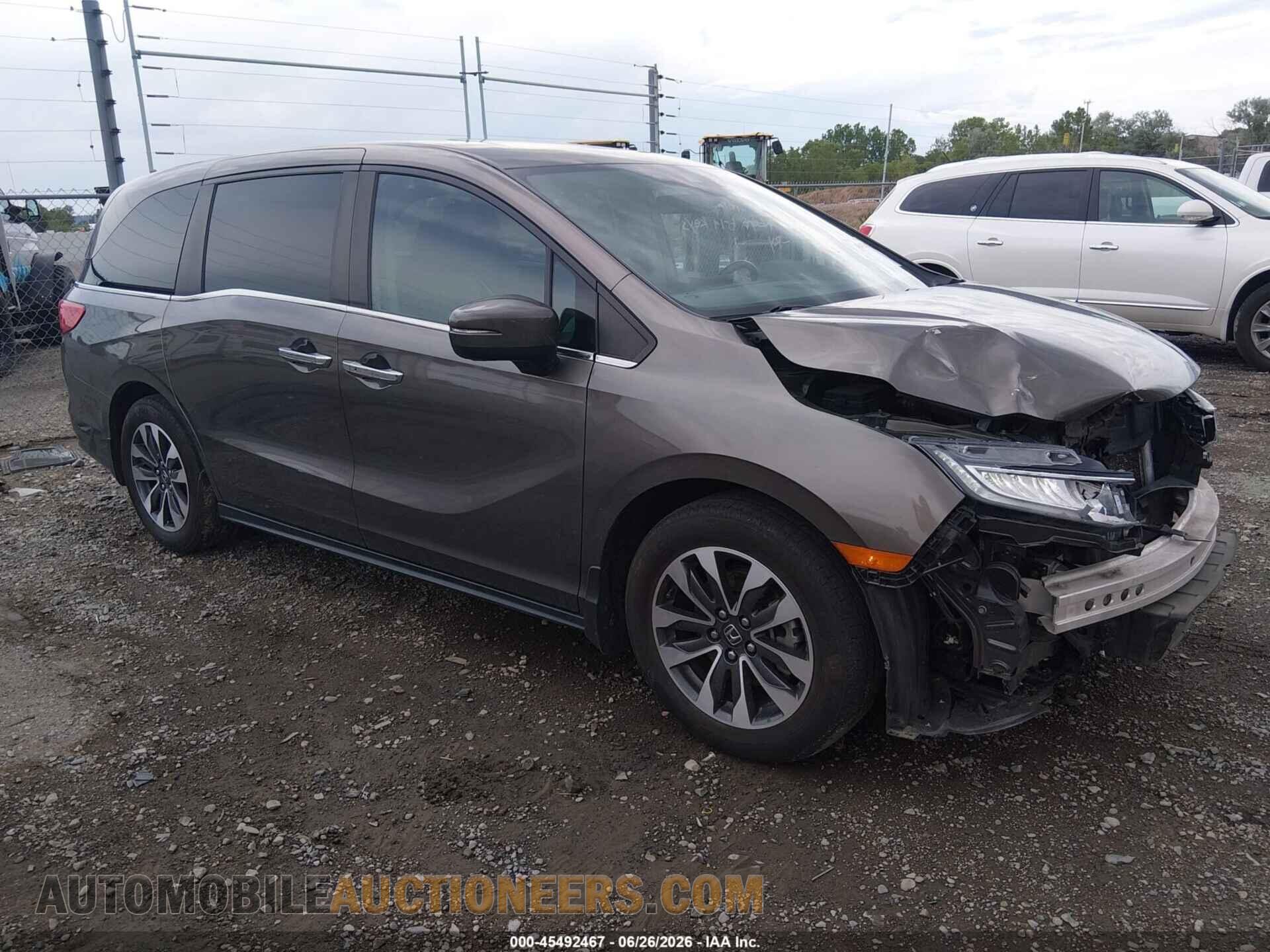 5FNRL6H71MB018646 HONDA ODYSSEY 2021