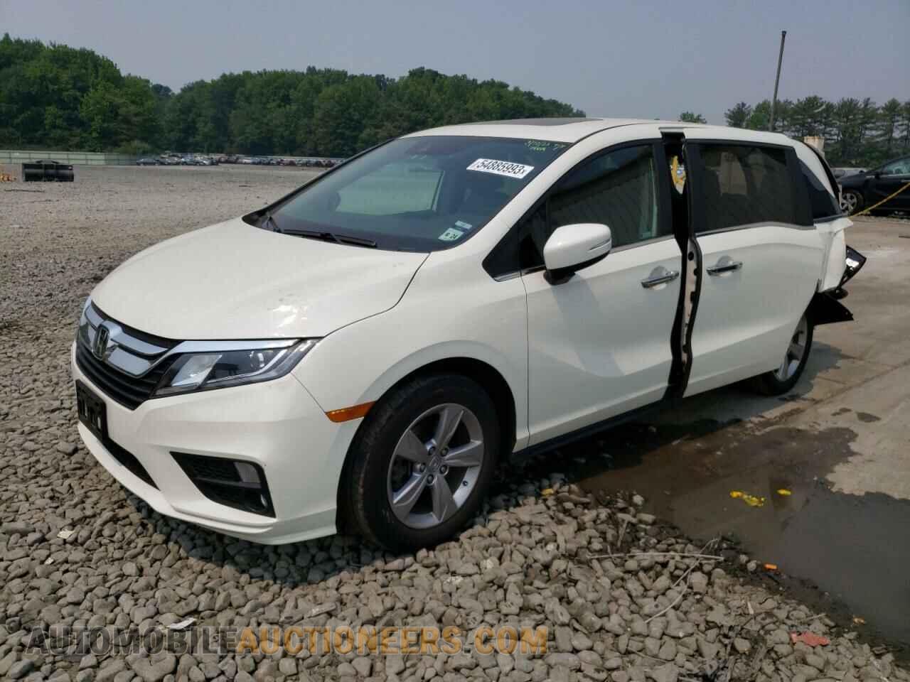 5FNRL6H73KB113240 HONDA All Models 2019
