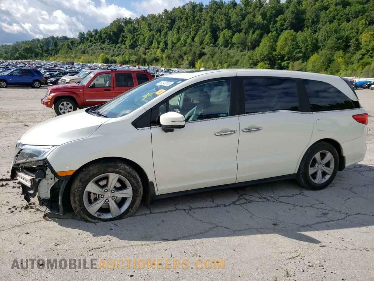 5FNRL6H75KB007176 HONDA All Models 2019