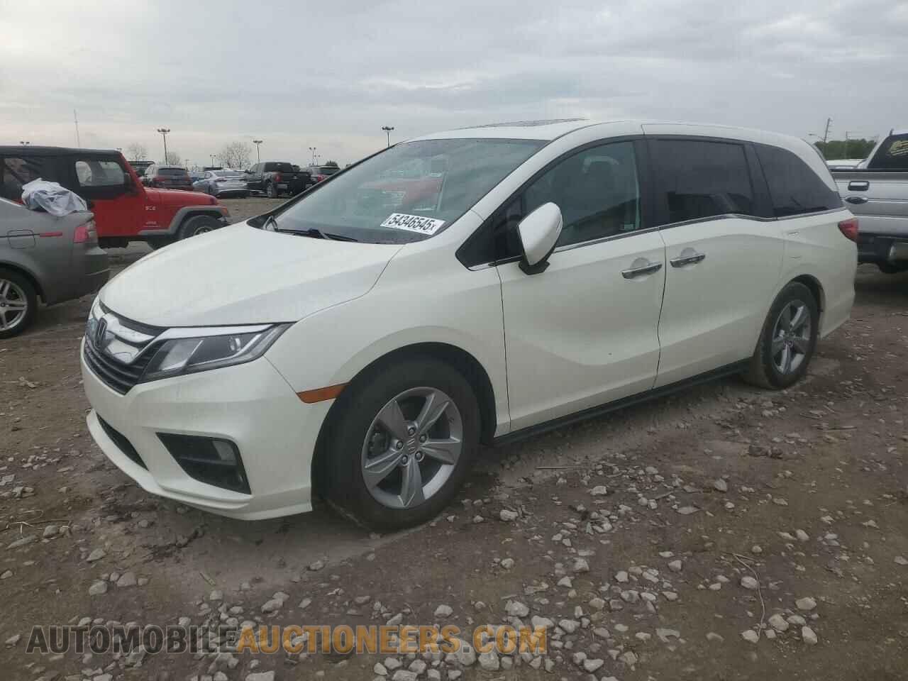5FNRL6H75KB036676 HONDA All Models 2019