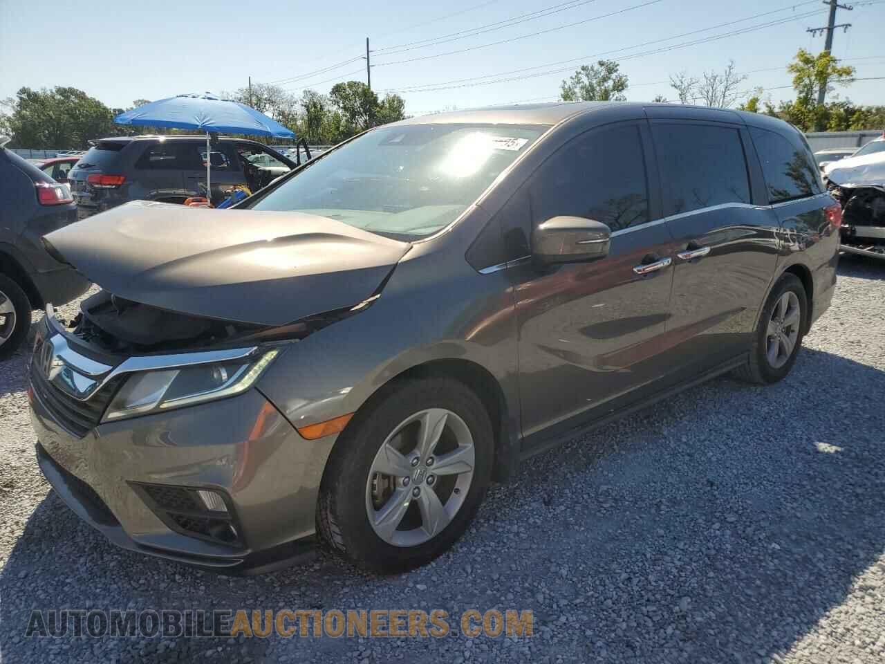 5FNRL6H75KB082282 HONDA All Models 2019