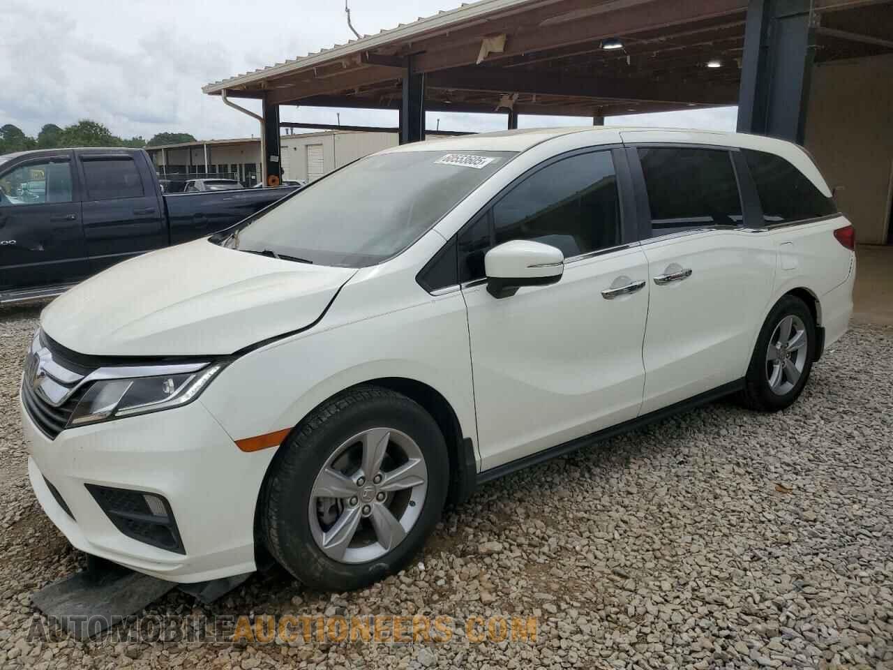 5FNRL6H78KB063452 HONDA All Models 2019