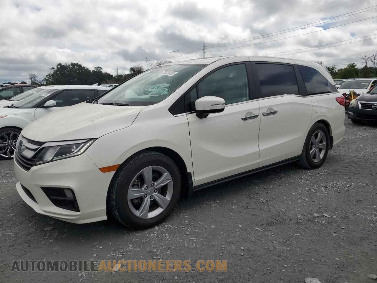 5FNRL6H78KB081787 HONDA All Models 2019