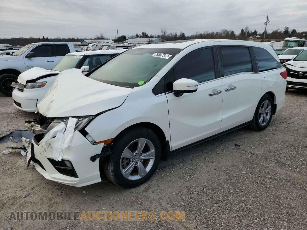 5FNRL6H79KB045901 HONDA All Models 2019