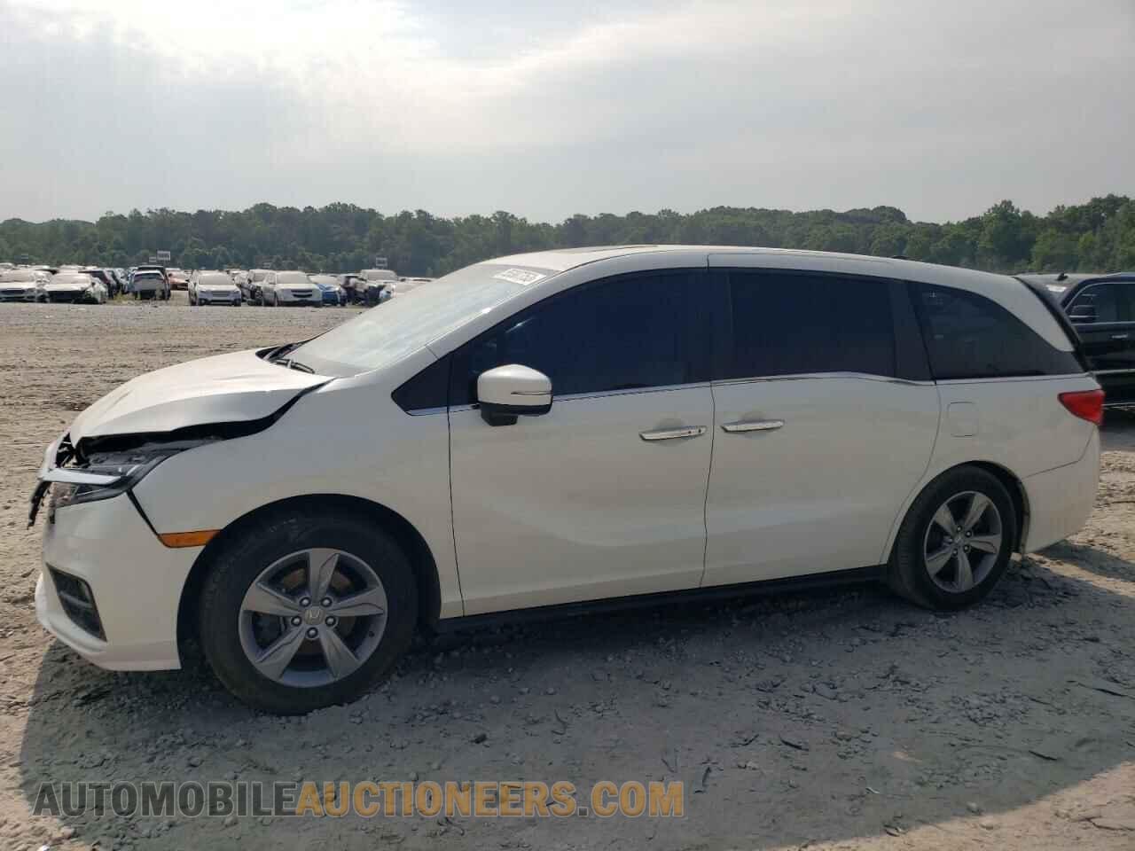 5FNRL6H79KB056784 HONDA All Models 2019