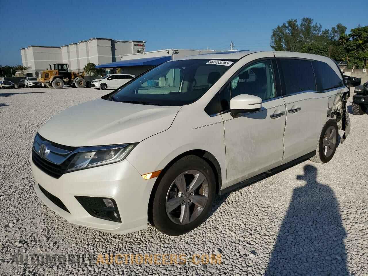 5FNRL6H79KB104347 HONDA All Models 2019
