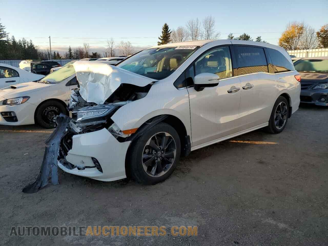 5FNRL6H89NB500033 HONDA ODYSSEY 2022