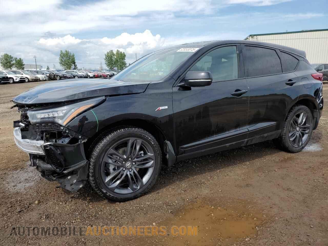5J8TC2H69RL802441 ACURA RDX 2024