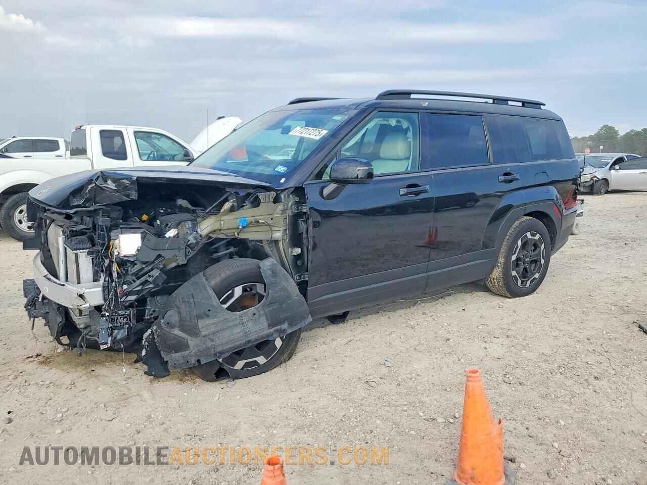 5NMP2DGL2RH008596 HYUNDAI SANTA FE 2024