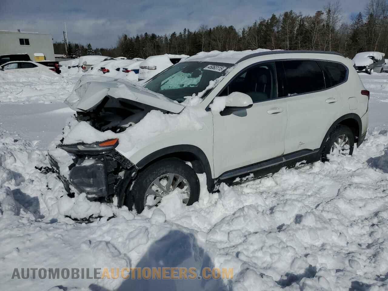 5NMS2CAD4KH123776 HYUNDAI SANTA FE 2019