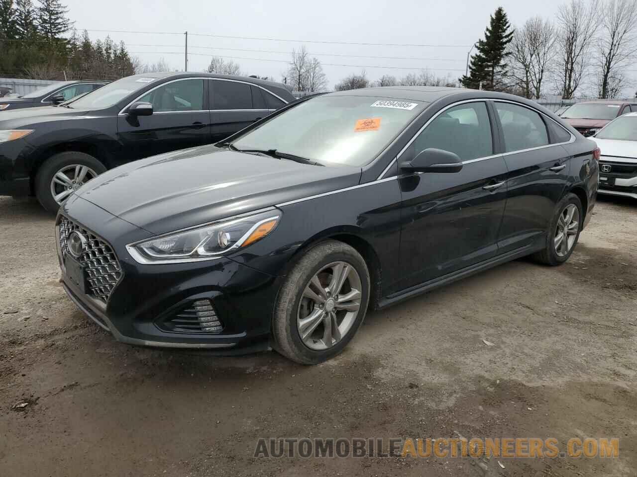 5NPE34AF9KH785065 HYUNDAI SONATA 2019