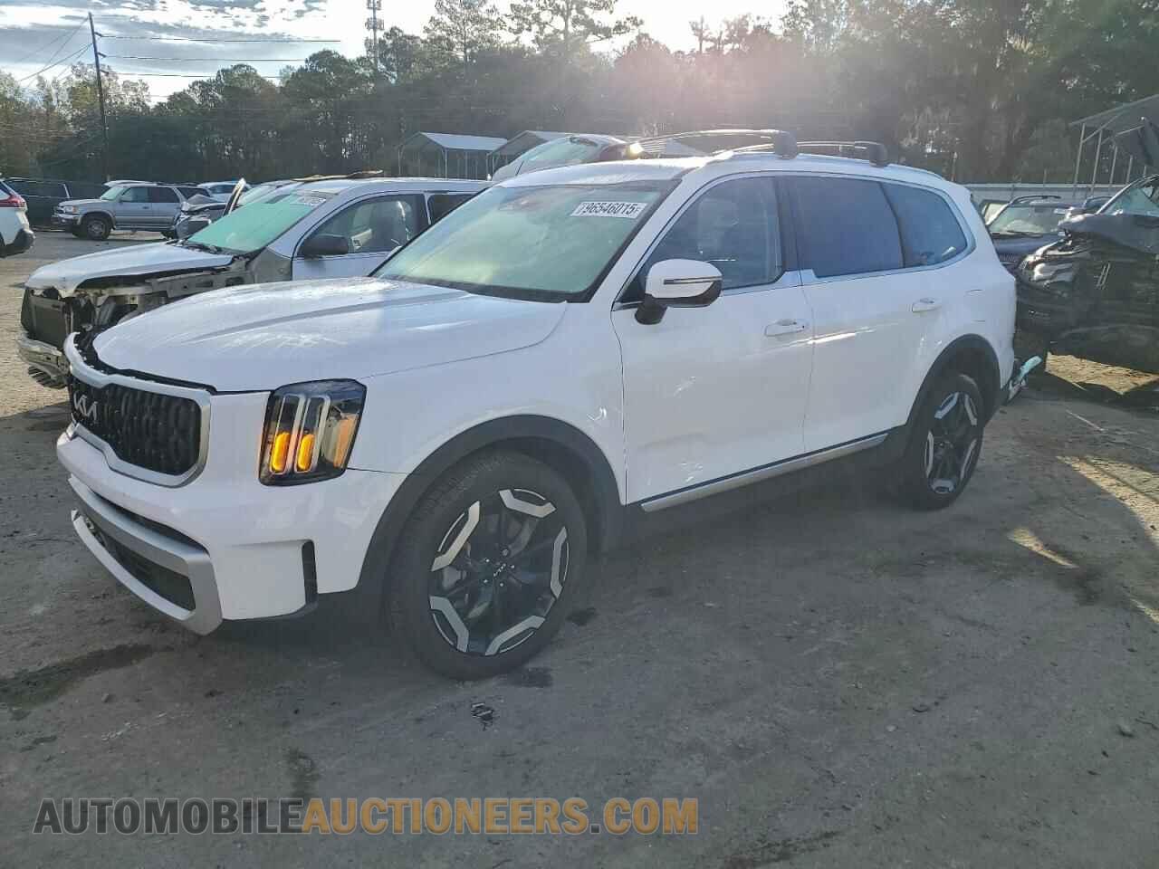 5XYP34GC9RG525966 KIA TELLURIDE 2024