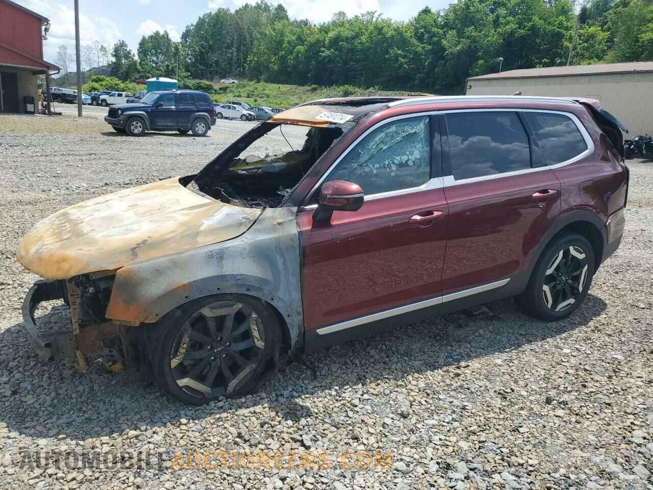 5XYP3DGC7RG434131 KIA TELLURIDE 2024