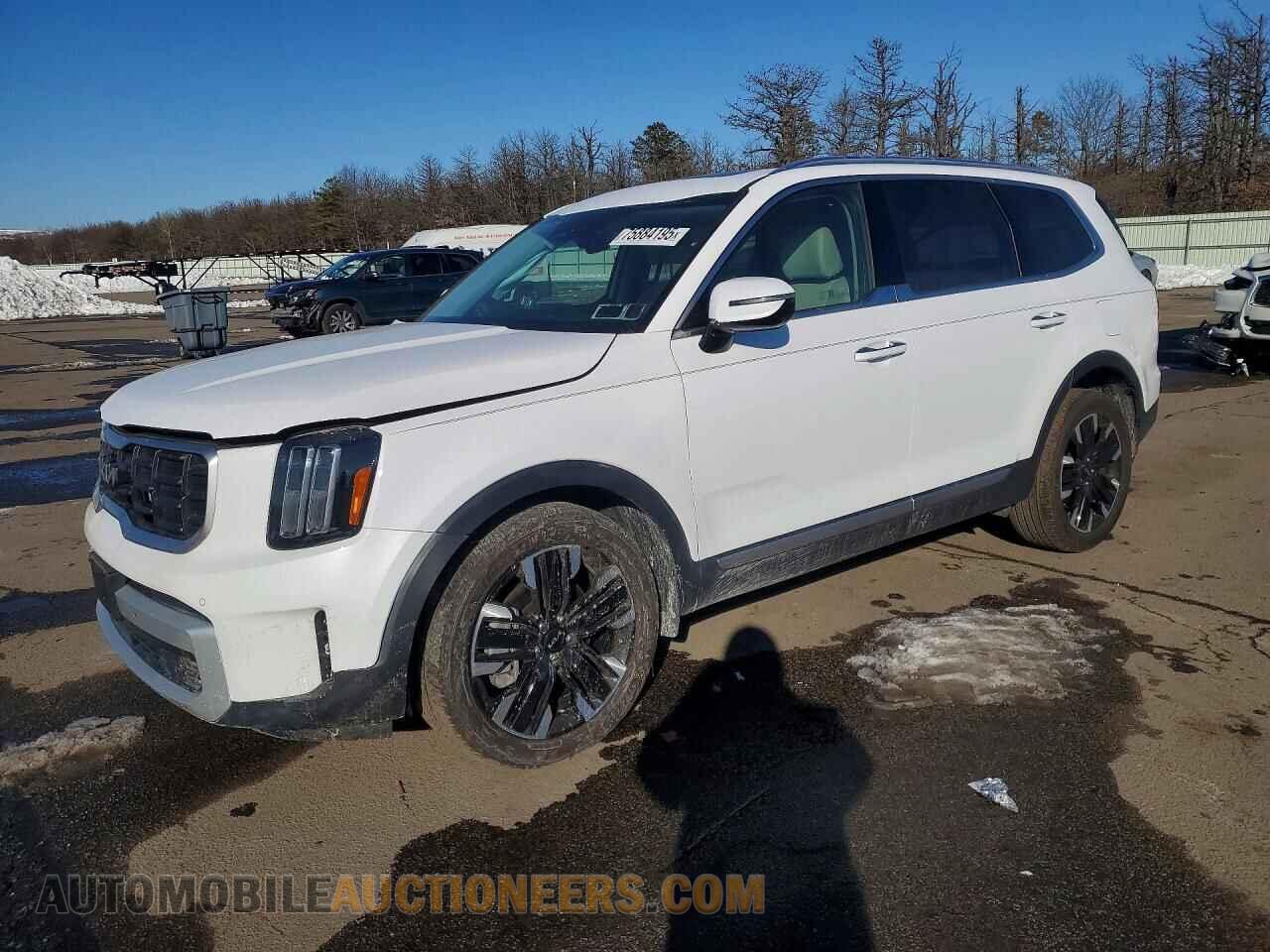 5XYP5DGC5RG521908 KIA TELLURIDE 2024