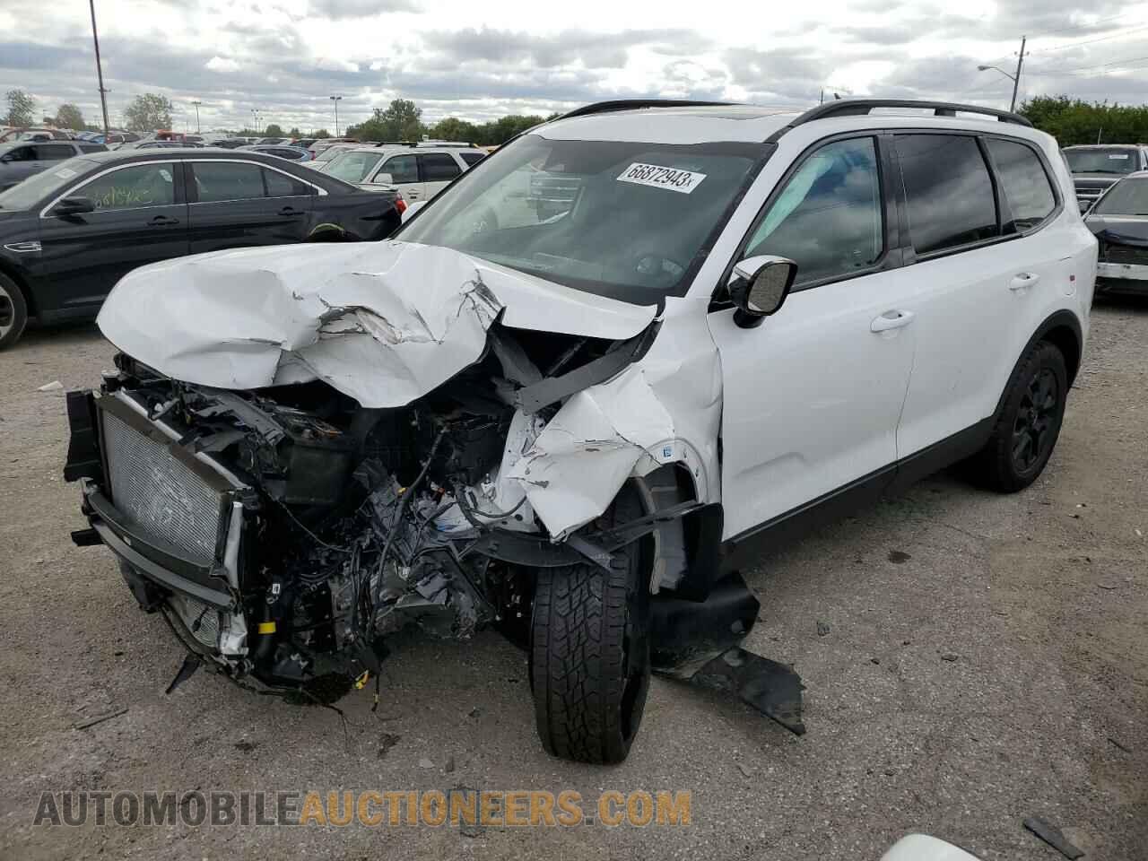 5XYP5DGC9RG427367 KIA TELLURIDE 2024