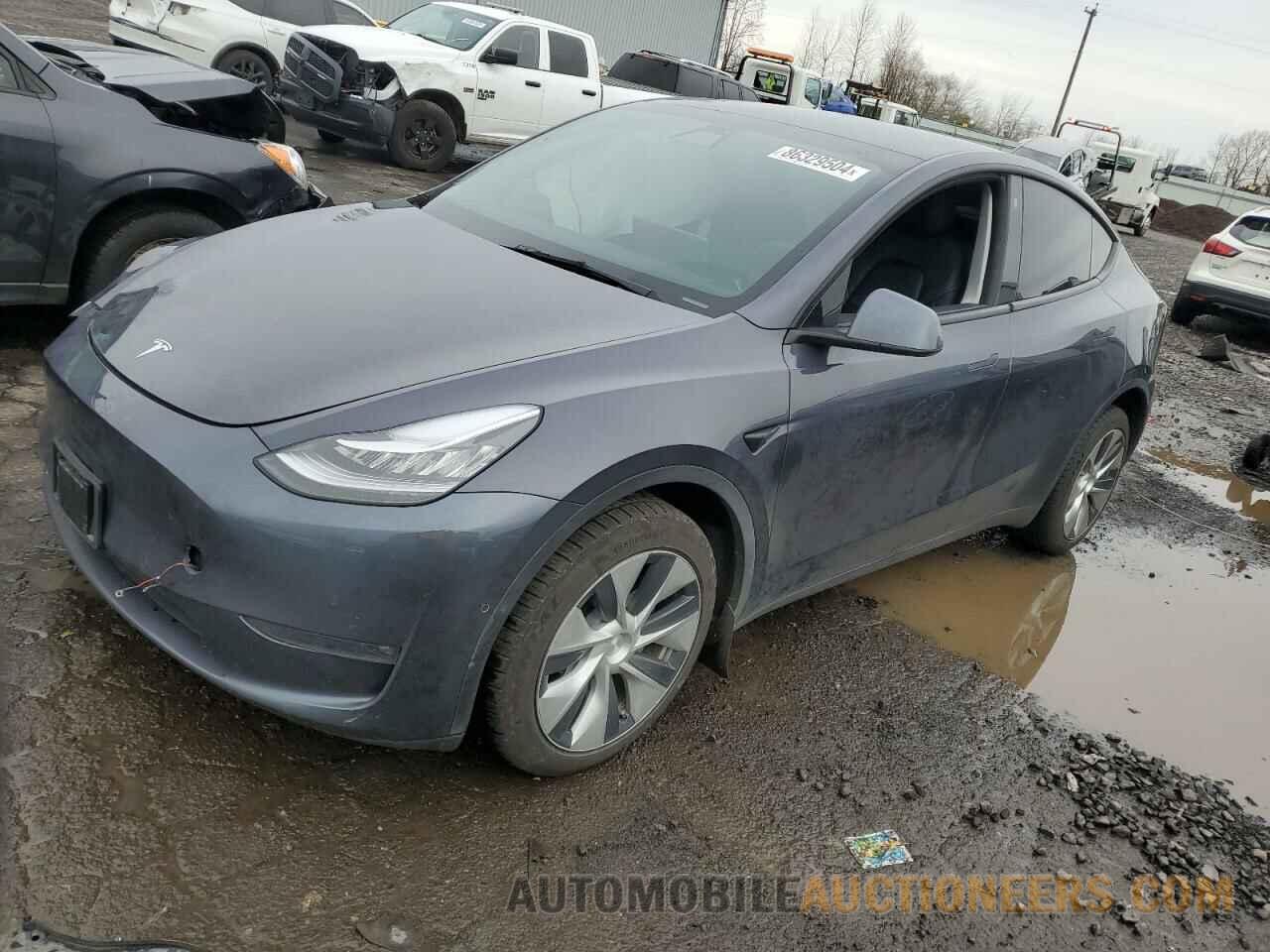 5YJYGDEE8MF241886 TESLA MODEL Y 2021