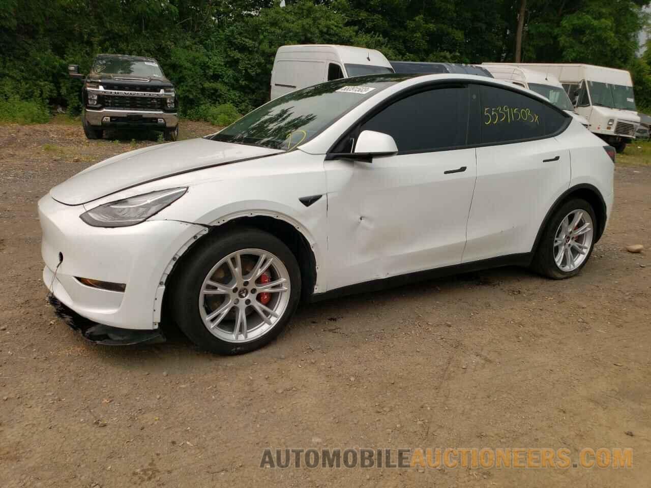 5YJYGDEE8MF305831 TESLA MODEL Y 2021