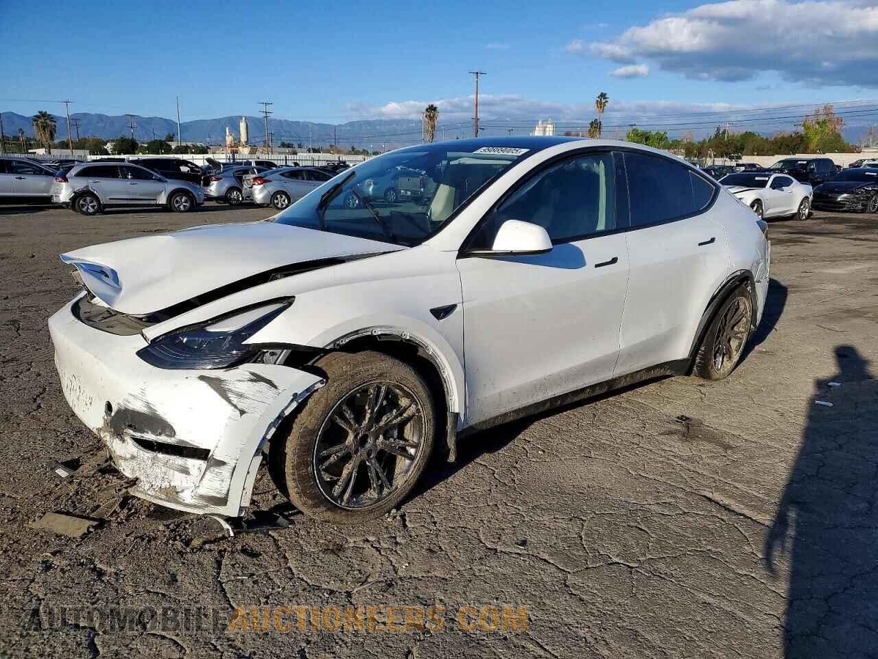 7SAYGDED2RF113385 TESLA MODEL Y 2024