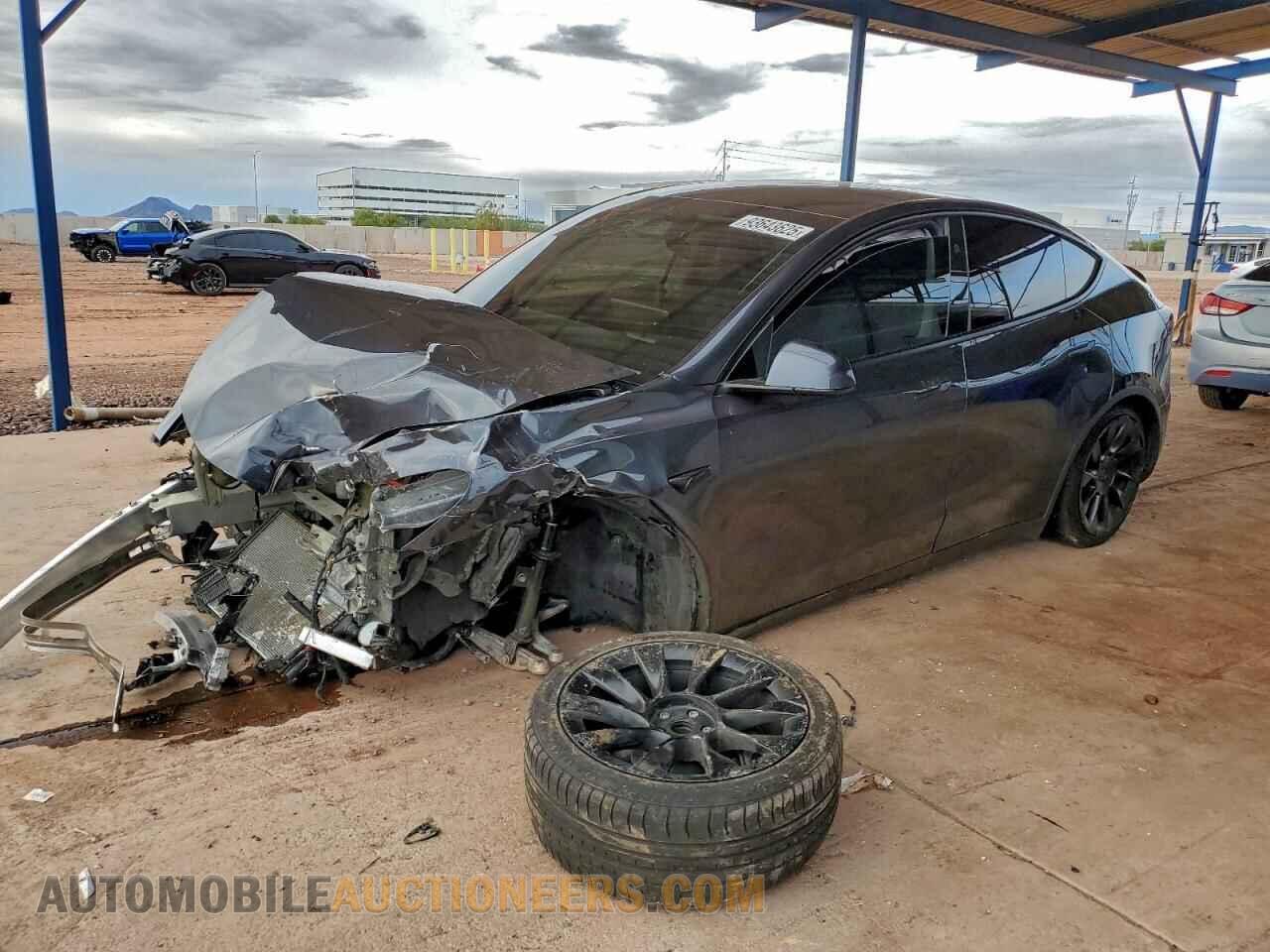 7SAYGDED3RF088559 TESLA MODEL Y 2024
