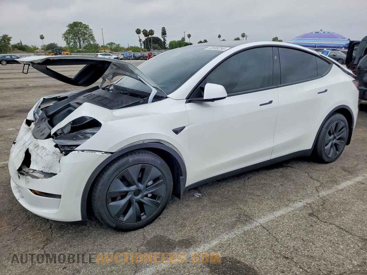 7SAYGDED4RF204478 TESLA MODEL Y 2024