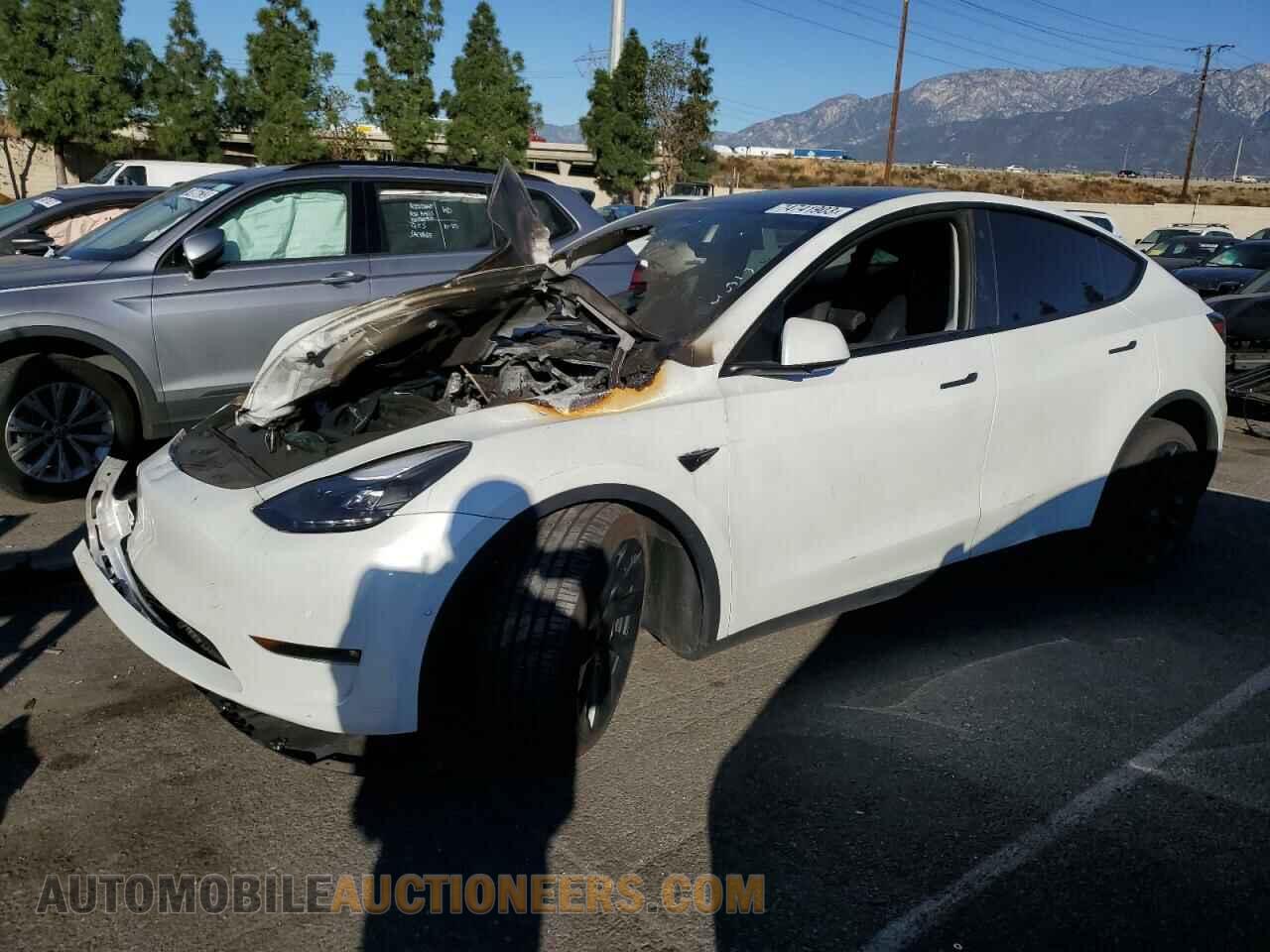 7SAYGDEE1NF561748 TESLA MODEL Y 2022