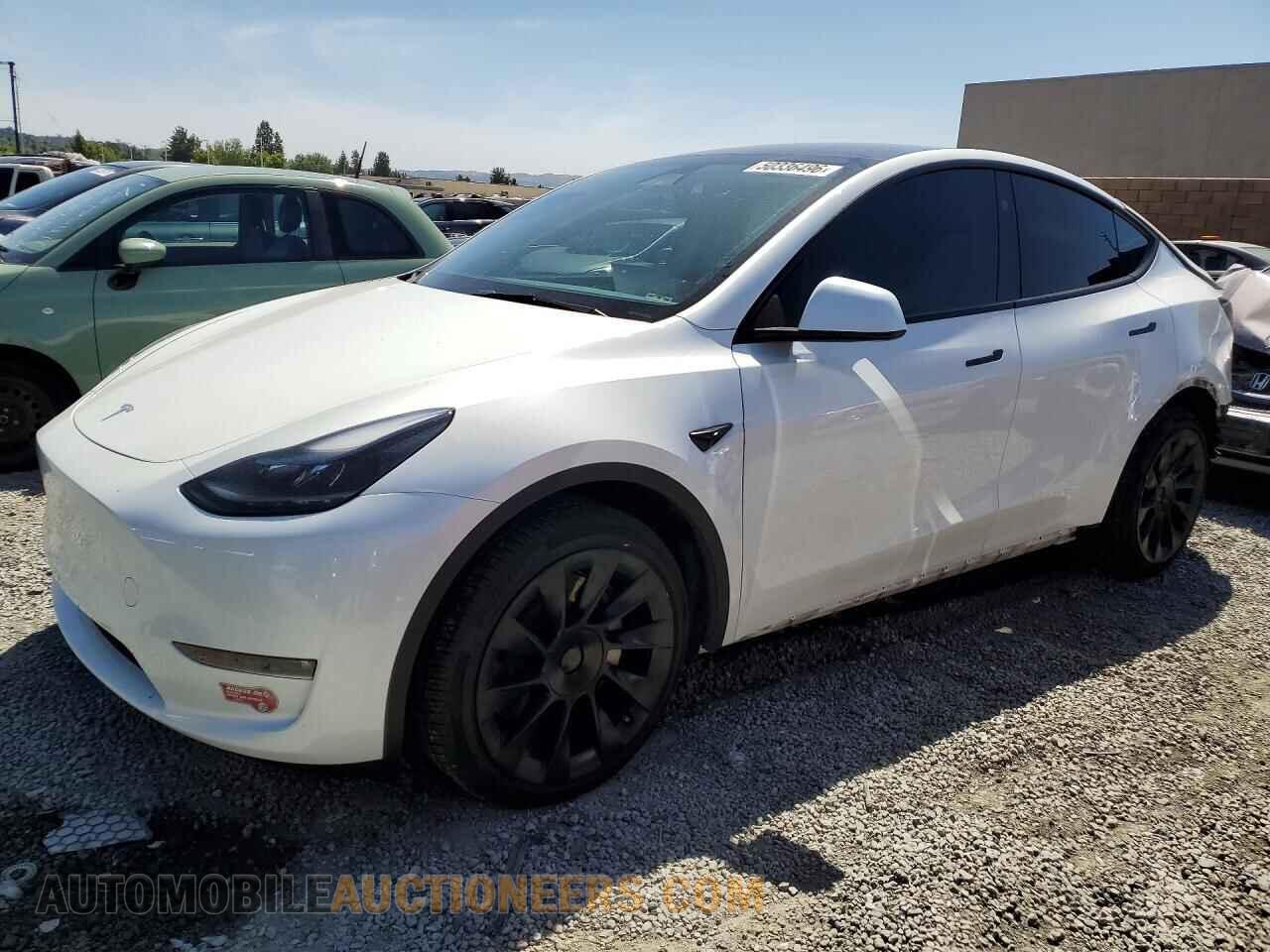 7SAYGDEE2RF066089 TESLA MODEL Y 2024
