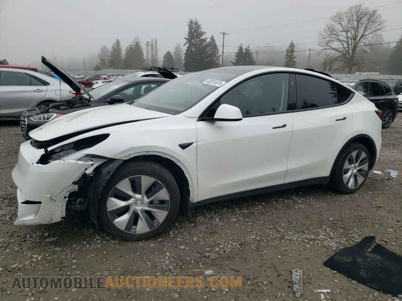 7SAYGDEE3RF014812 TESLA MODEL Y 2024